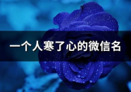 取个修心的网名,网名中的禅意与人生哲学