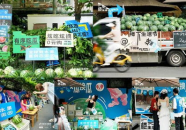 娱乐吃瓜街,揭秘娱乐圈背后的那些事儿