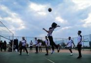 小姐姐打排球的音乐叫啥,探寻那首激昂的排球音乐